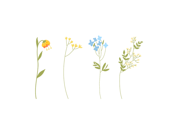 Set Flower Design Drawing Vector Graphics Freebies